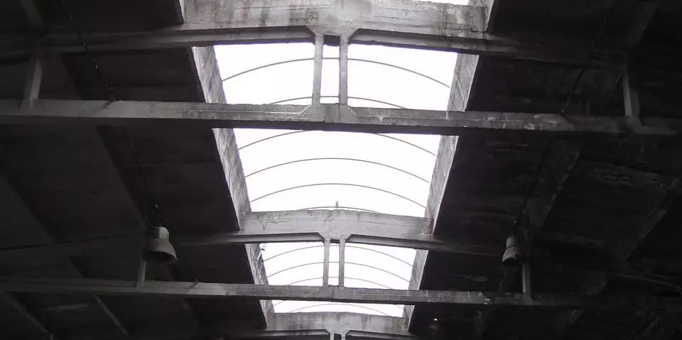 Światło słoneczne w hodowli rolniczej. AGRO