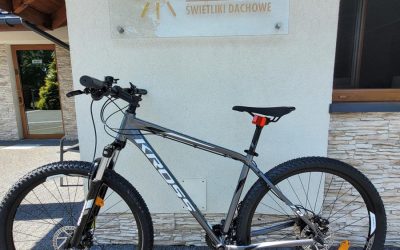 Bieg po Truskawkę 2024